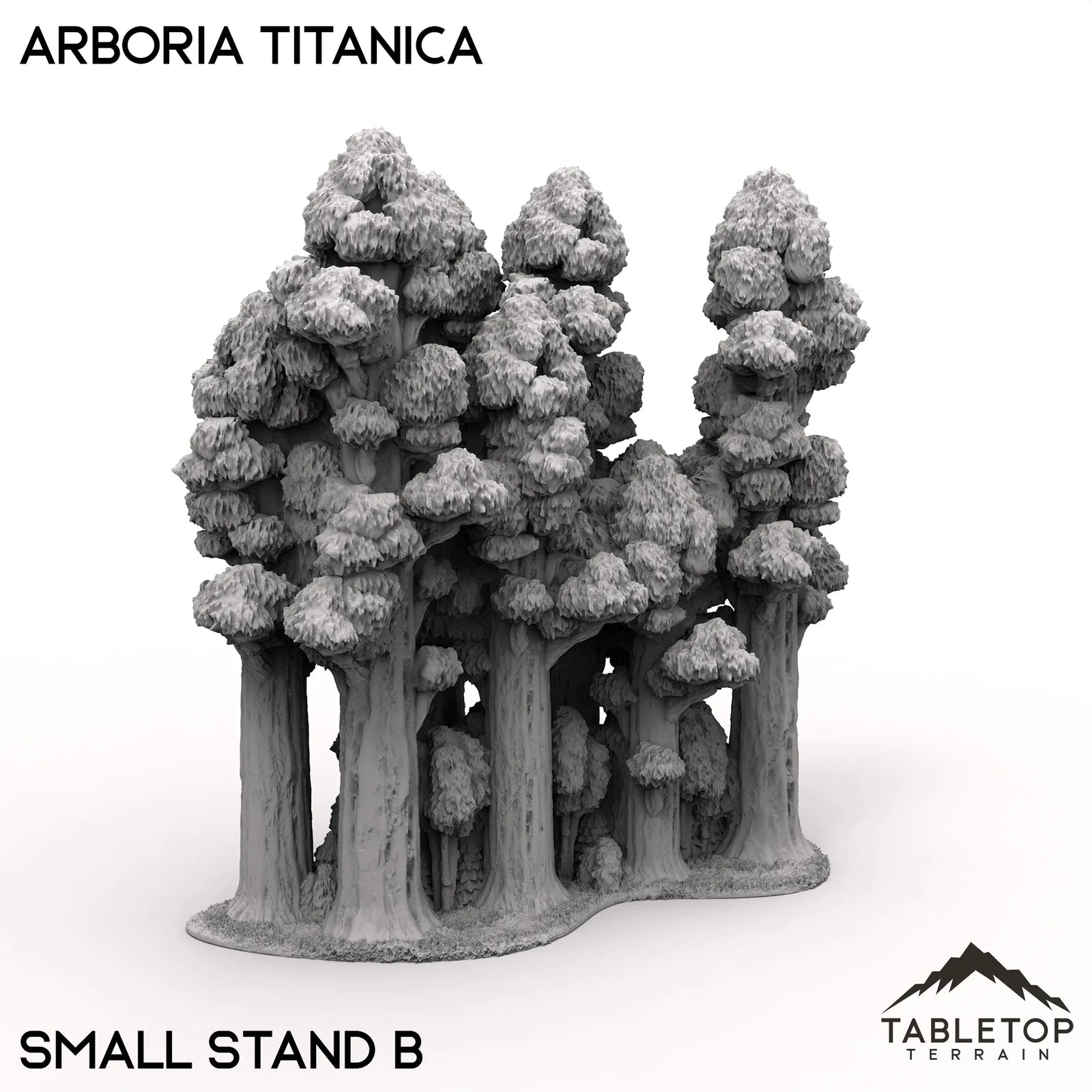 Arboria Titanica - 6-8mm