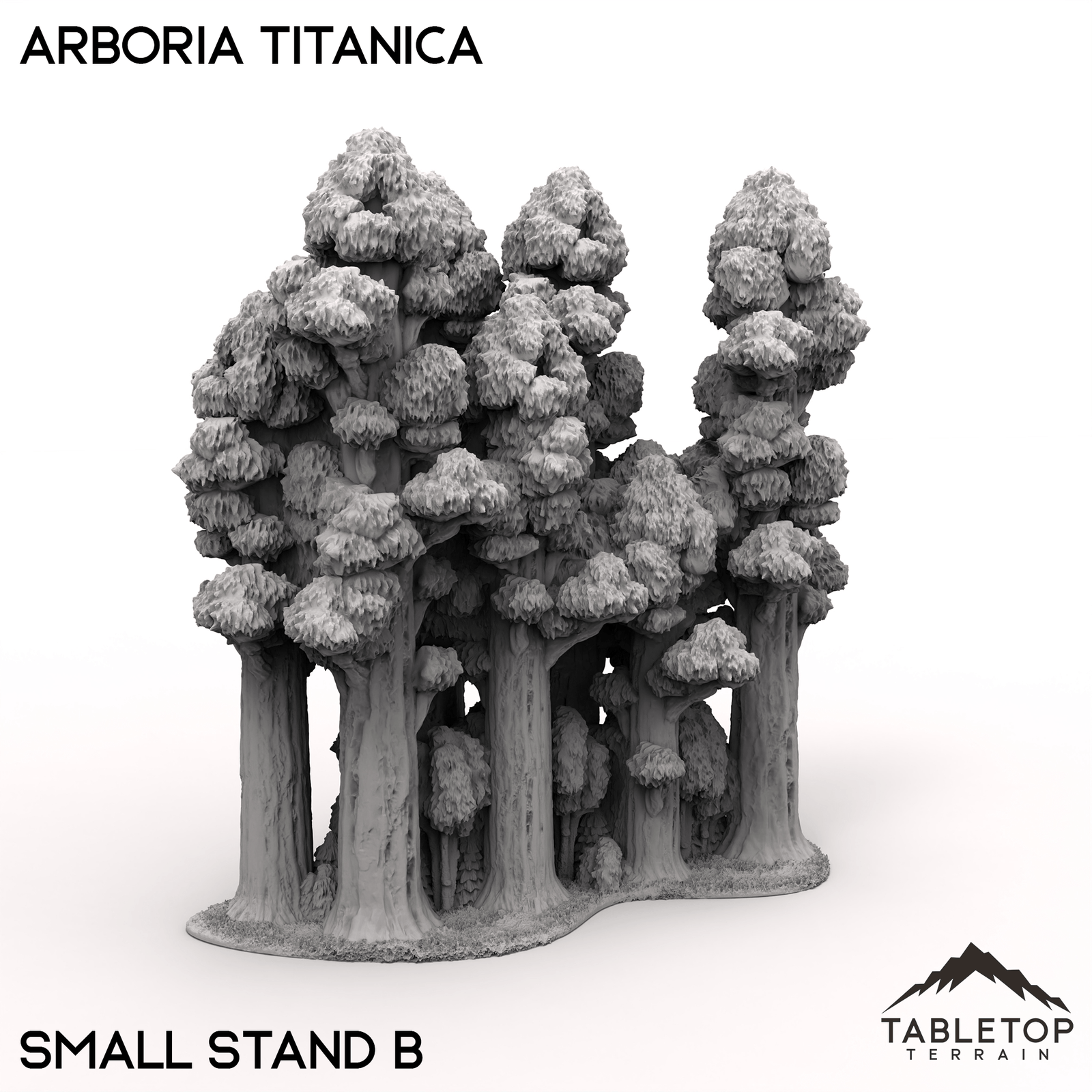 Arboria Titanica - 6-8mm