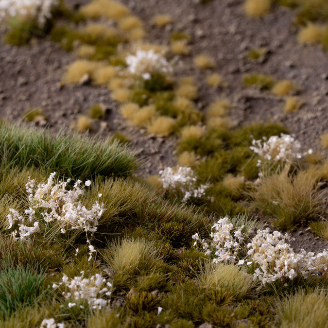 White Flowers